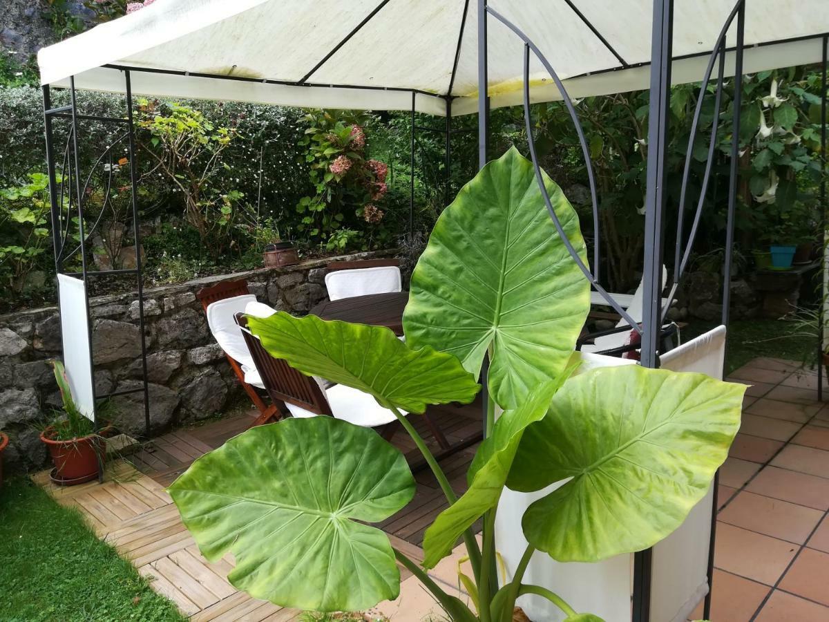 Casa Nueva Carmen Guest House Pendueles Ngoại thất bức ảnh